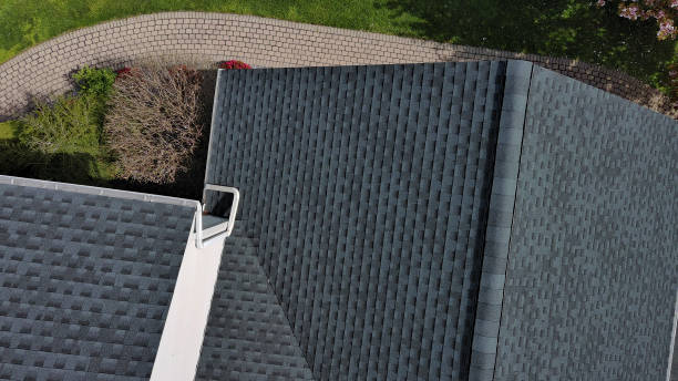 Best Roof Moss and Algae Removal  in West, TX